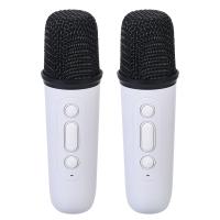 FOR-X Usb+Sd+Fm Bt Karaokeli Oto Teyp X-100 MIC