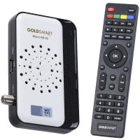 GOLDMASTER Mini Hd Uydu Alıcısı HD-22