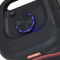 MS Bluetooth ve USB Girişli 2X8 İnch Şarjlı Işıklı Müzik Sistemi MS-2038 BT
