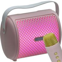 POLYGOLD 4'' Bluetooth ve USB Girişli Radyo Wireles Mik. Ses Sistemi ZQS-1482